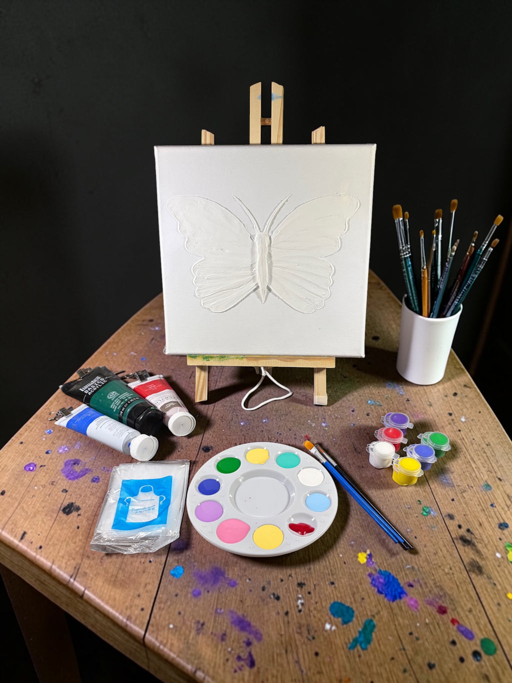 Paint Your Own 3D Textured "Butterfly" Canvas Painting Kit: Acrylic Art Set